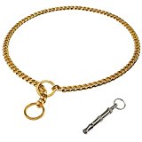 Didog Luxury Titan Choke Chain Collar,Best for Pit Bull, Doberman, Mastiff, Bulldog(22