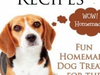 Easy Homemade Dog Treat Recipes: Fun Homemade Dog Treats for the Busy Pet Lover (Dog Care and Training) (Volume 2)