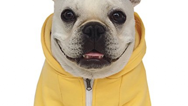 Moolecole Zip-up Hoodie Pet Costume Dog Clothes Outfit Funny Pet Apperal For French Bulldog And Pug Yellow 2XL