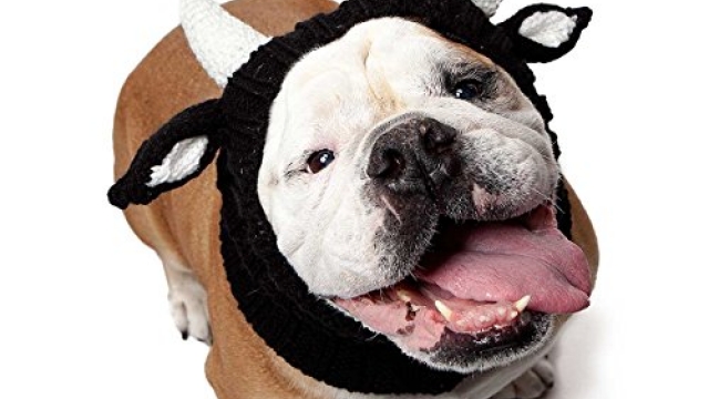 Zoo Snoods – The Original Knit Bull Dog Snood (size: large) Reviews