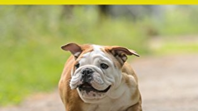 Bulldog: Children’s Picture Book about Bulldog for Kids (Dogs for Kids Series) Reviews