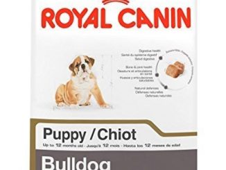 ROYAL CANIN BREED HEALTH NUTRITION Bulldog Puppy dry dog food, 6-Pound by Royal Canin Reviews