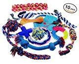 Lobeve Dog Toys 10 Pack Gift Set, Variety Pet Dogs Toy Set for Medium to Small Doggie