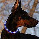 Led Dog Collar USB Rechargeable Glowing Pet Safety Collars Water Resistant Light up Improved Dog Visibility & Safety Adjustable Flashing Collar Best Gift for Dogs by Bseen (Blue)