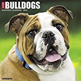 Just Bulldogs 2018 Wall Calendar (Dog Breed Calendar)