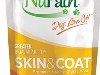 NuPath Skin & Coat Pumpkin Supplement Squeeze Pouches For Dogs: Rich In Fiber And Vitamin A – In Easy-To-Squeeze Pouch (Skin & Coat, 1-Pack)