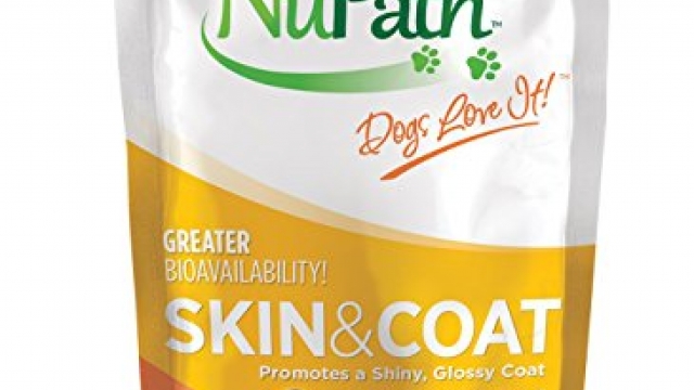 NuPath Skin & Coat Pumpkin Supplement Squeeze Pouches For Dogs: Rich In Fiber And Vitamin A – In Easy-To-Squeeze Pouch (Skin & Coat, 1-Pack)