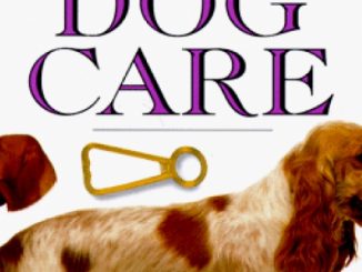 Dog Care (101 Essential Tips)