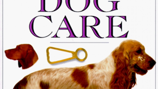 Dog Care (101 Essential Tips)