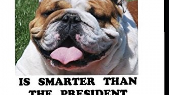 MY BULLDOG IS SMARTER THAN THE PRESIDENT Reviews