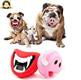 CatYou 2-PCS Funny Pet Dogs Silicon Toy Chew Sound Squeaky Play Toys for Puppy Small Medium Dogs (2PCS Funny Toys)