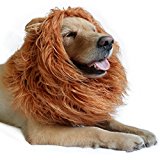 Lion Mane for Dog-Dog Costume DIBBATU Lion Wig for Large or Medium Dogs Halloween Christmas Gift Fancy Hair (Red brown)