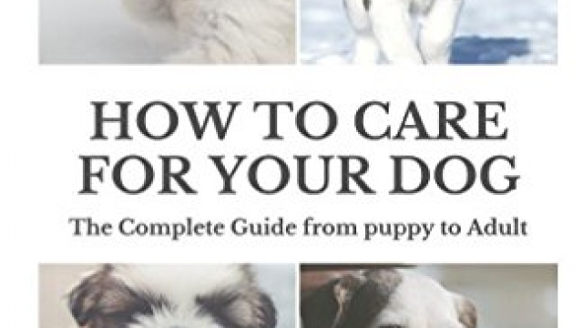 How to Care for Your Dog: The Complete Guide from Puppy to Adult: A guide to caring for your dog including food, nutrition, behaviour, habits, training and vaccinations Reviews