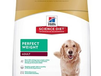 Hill’s Science Diet Adult Perfect Weight Chicken Recipe Dry Dog Food, 28.5 lb bag