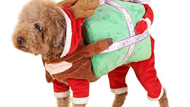 NACOCO Dog Costume Carrying Gift Box with Santa Claus Pet Cat Costumes Funny Christmas Party Festival Holiday Outfit (L)