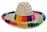 Dog Sombrero Hat - Funny Dog Costume - Chihuahua Clothes - Mexican Party Decorations