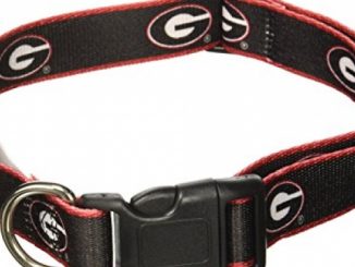 NCAA Georgia Bulldogs Dog Collar, Medium/Large  – New Design