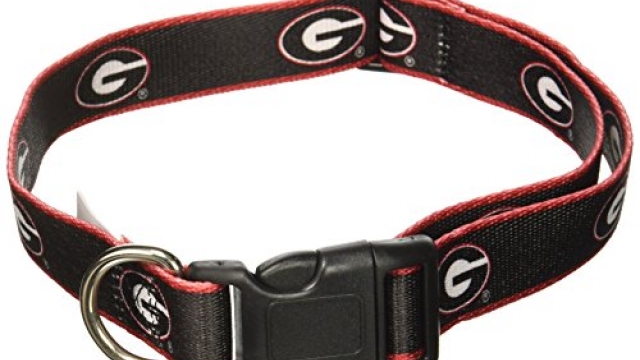 NCAA Georgia Bulldogs Dog Collar, Medium/Large  – New Design