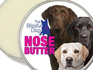 The Blissful Dog Labrador Retriever Nose Butter, 2-Ounce