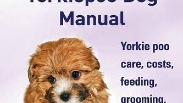 Yorkie Poos. the Ultimate Yorkie Poo Dog Manual. Yorkiepoo Care, Costs, Feeding, Grooming, Health and Training All Included.