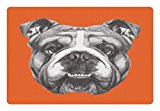 Dog Pet Mats for Food and Water by Lunarable, Hand Drawn Portrait of English Bulldog Cute Puppy Retro Animal Funny Cool Pet, Rectangle Non-Slip Rubber Mat for Dogs and Cats, Orange Warm Taupe