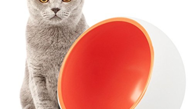 Cat Bowl,DOTPET Ceramic Dry Food Bowl Cat Feeder Cat Bowl Kitten Dish Arc Shape Perfect for Cats Small Dogs Random Color