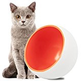 Cat Bowl,DOTPET Ceramic Dry Food Bowl Cat Feeder Cat Bowl Kitten Dish Arc Shape Perfect for Cats Small Dogs Random Color