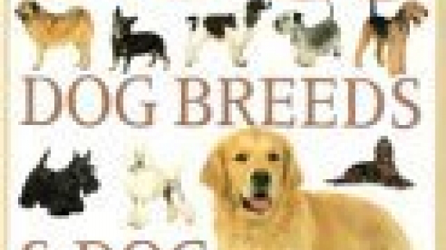 The ultimate encyclopedia of dogs, dog breeds & dog care