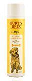 Burt’s Bees for Dogs Oatmeal Dog Conditioner with Colloidal Oat Flour and Honey, 10 Ounces