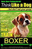 Boxer, Boxer Training AAA AKC: 