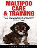 Maltipoo Care & Training: How To Train A Maltipoo Dog – Learn Amazing Tip, Tricks And Tenchiques To Train Your Maltipoo (Puppy Training, Dog Training, Dog Care)