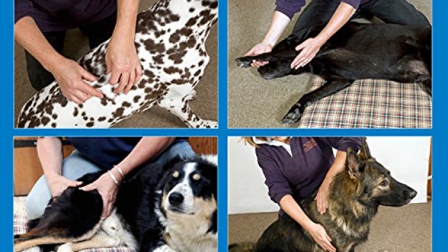 The Complete Dog Massage Manual: Gentle Dog Care