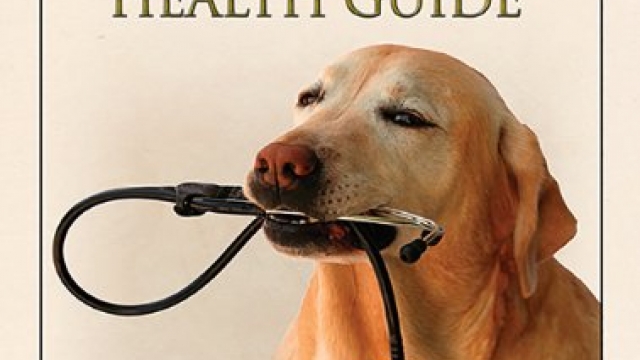 The Holistic Health Guide: Natural Care for the Whole Dog (Terra-Nova Series)