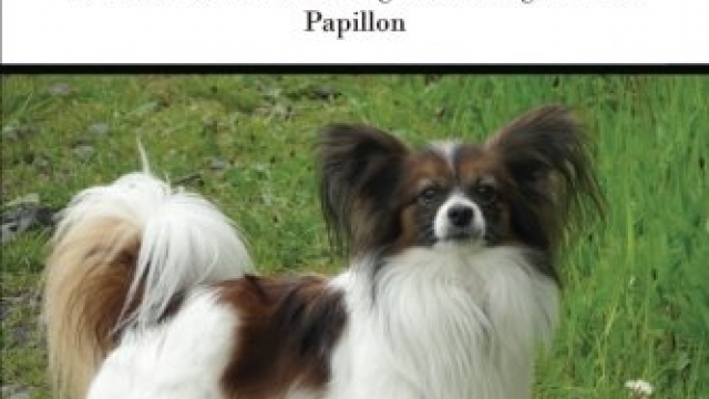 The Papillon: A Complete and Comprehensive Owners Guide to: Buying, Owning, Health, Grooming, Training, Obedience, Understanding and Caring for Your … to Caring for a Dog from a Puppy to Old Age) Reviews