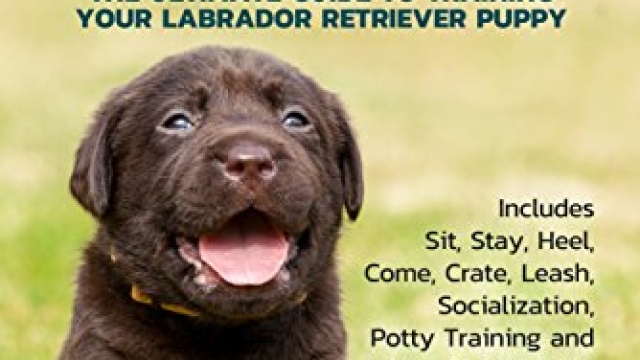 Labrador Retriever Training: The Ultimate Guide to Training Your Labrador Retriever Puppy: Includes Sit, Stay, Heel, Come, Crate, Leash, Socialization, Potty Training and How to Eliminate Bad Habits