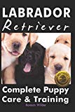 Labrador Retriever: Complete Puppy Care & Training