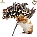 Apple Cinnamon Chew Sticks - Molar and teeth grinding Toy for small pets-Pet Snack for Rabbits, Chinchillas, Hamsters, Guinea Pigs - Natural Apple Orchard Sticks for Healthy Teeth, Good Digestion
