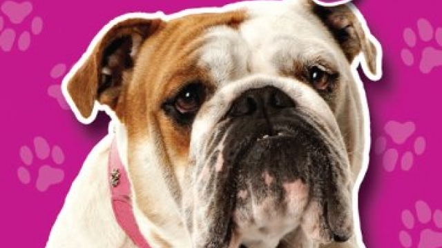 Bulldogs (Paperback) (Blastoff! Readers: Dog Breeds) Reviews