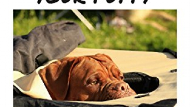 CRATE TRAINING FOR PUPPIES: HOW TO CRATE TRAIN YOUR PUPPY IN JUST 3 DAYS  A STEP-BY-STEP program so your pup will understand you!