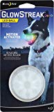 Nite Ize GlowStreak LED Dog Ball, Bounce-Activated Light Up Dog Ball, Replaceable Batteries, Disc-O Color Changing LED