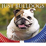 Just Bulldogs 2019 Box Calendar (Dog Breed Calendar)