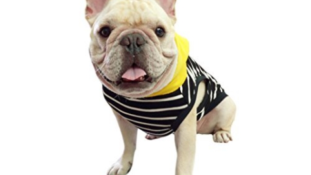 Frenchie Pet Apparel Black Stripe with Yellow Hoodie for French Bulldog or Pug Wear