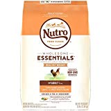 Nutro Wholesome Essentials Healthy Weight Adult Dry Dog Food Farm-Raised Chicken, Lentils & Sweet Potato Recipe, 30 lb. Bag