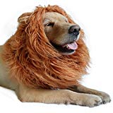 DIBBATU Lion Mane Costume Lion Mane Wig for Large/Medium Dogs Halloween Christmas Gift Fancy Hair, Brown