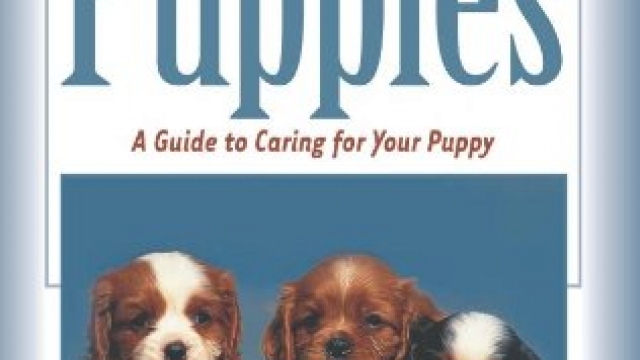 Puppies: A Complete Guide to Caring for Your Puppy (Complete Care Made Easy)