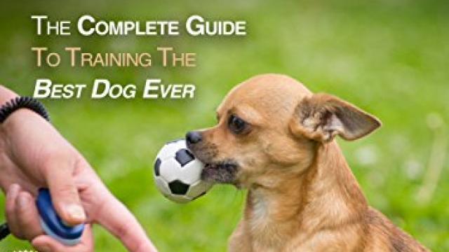 Chihuahua Training: The Complete Guide To Training the Best Dog Ever