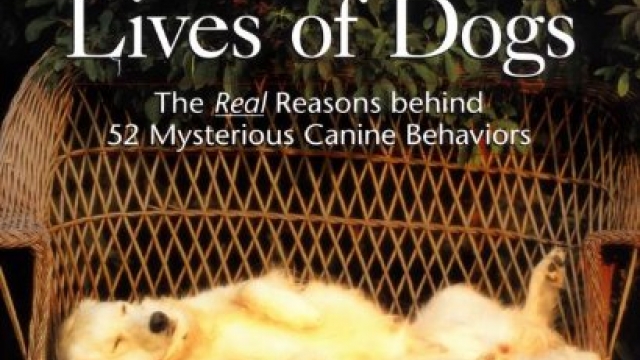 The Secret Lives of Dogs: The Real Reasons Behind 52 Mysterious Canine Behaviors