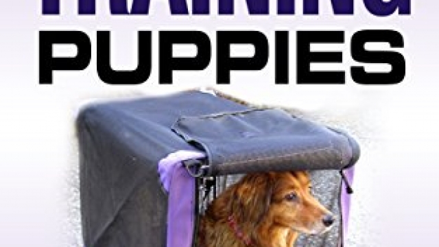 Crate Training: Crate Training Puppies – Learn How to Crate Train Your Puppy Fast and Simple Way (Crate Training for Your Puppy): Crate Training (Dog Training, … Training, Dog Care and Health, Dog Breeds,)