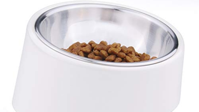 Food Bowl Especially Suitable For Dog Squashed Nose Or Amblyopia, 1 Pack