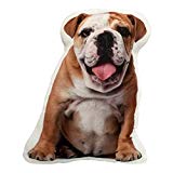 KT Bulldog Dog Stuffed Throw Pillow Decorative Gift